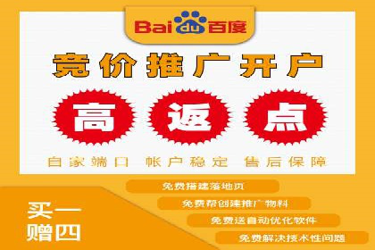 某电商平台的SEM竞价推广实践